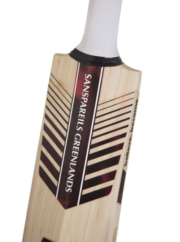 Cricket Equipment - In Action