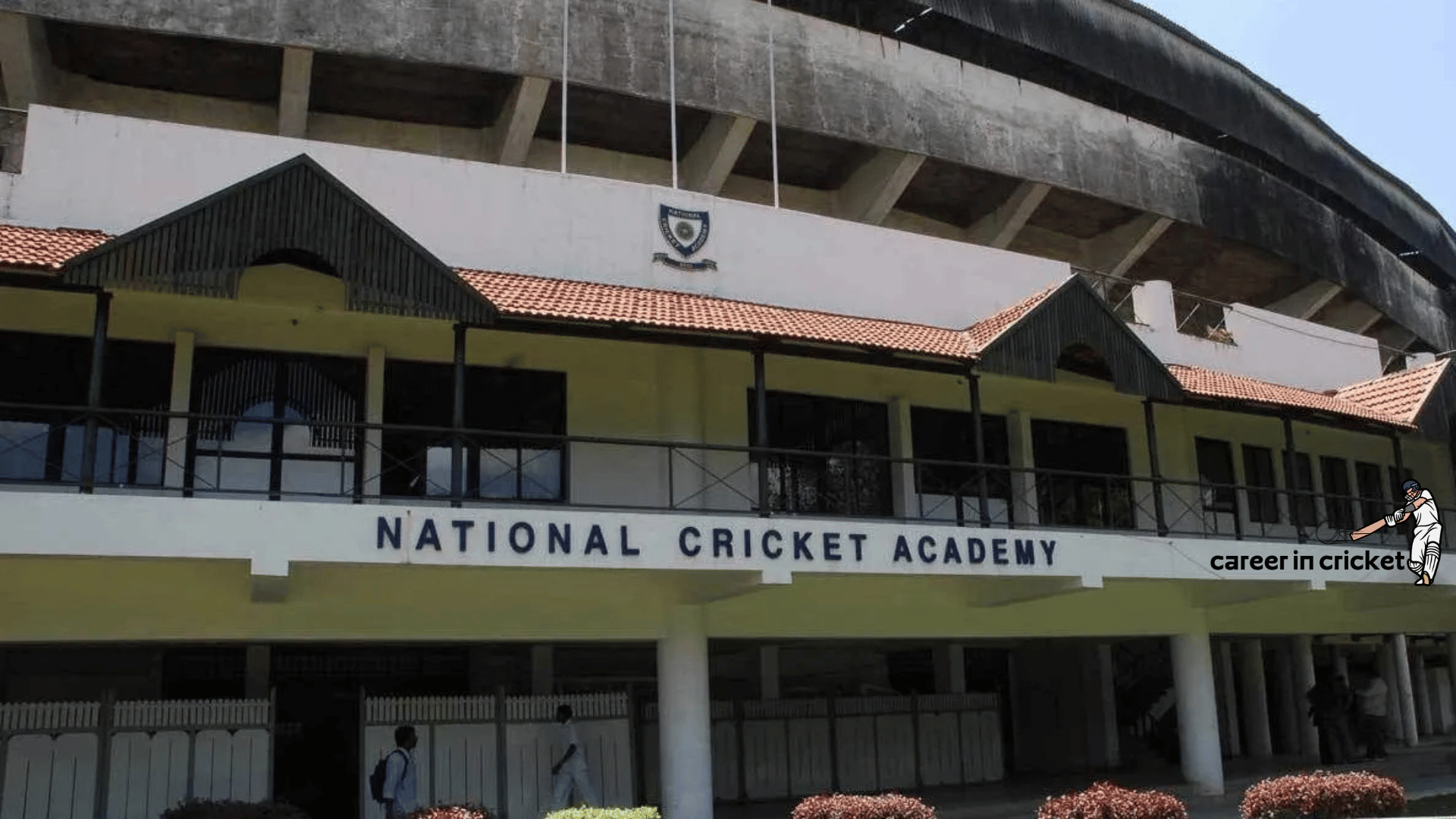 Which is the Best Cricket Academy in India?