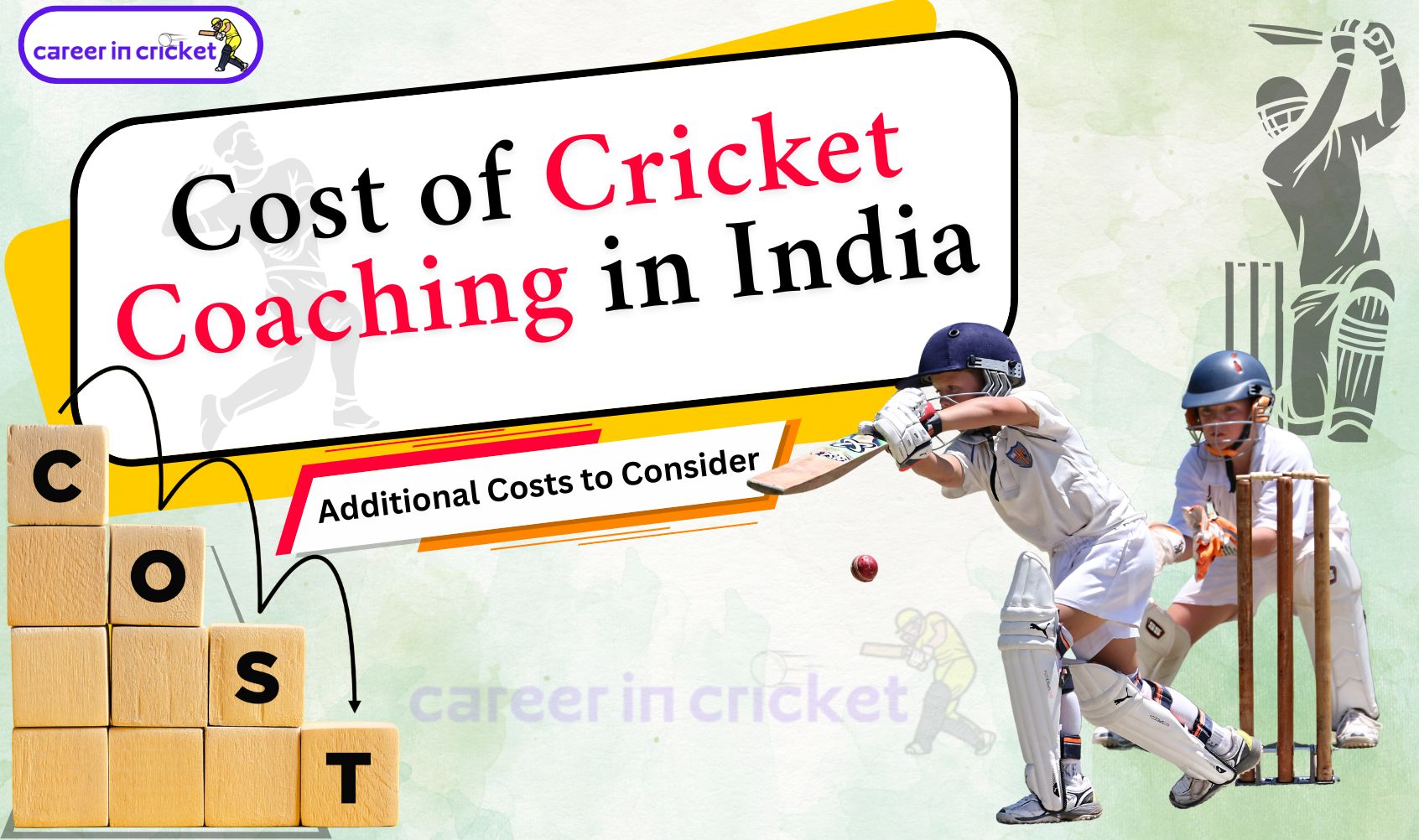 Cost of Cricket Coaching in India
