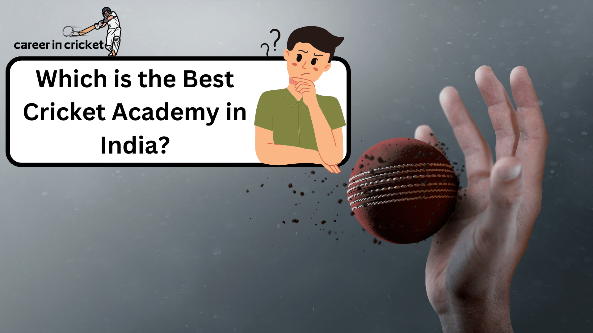 Which is the Best Cricket Academy in India?