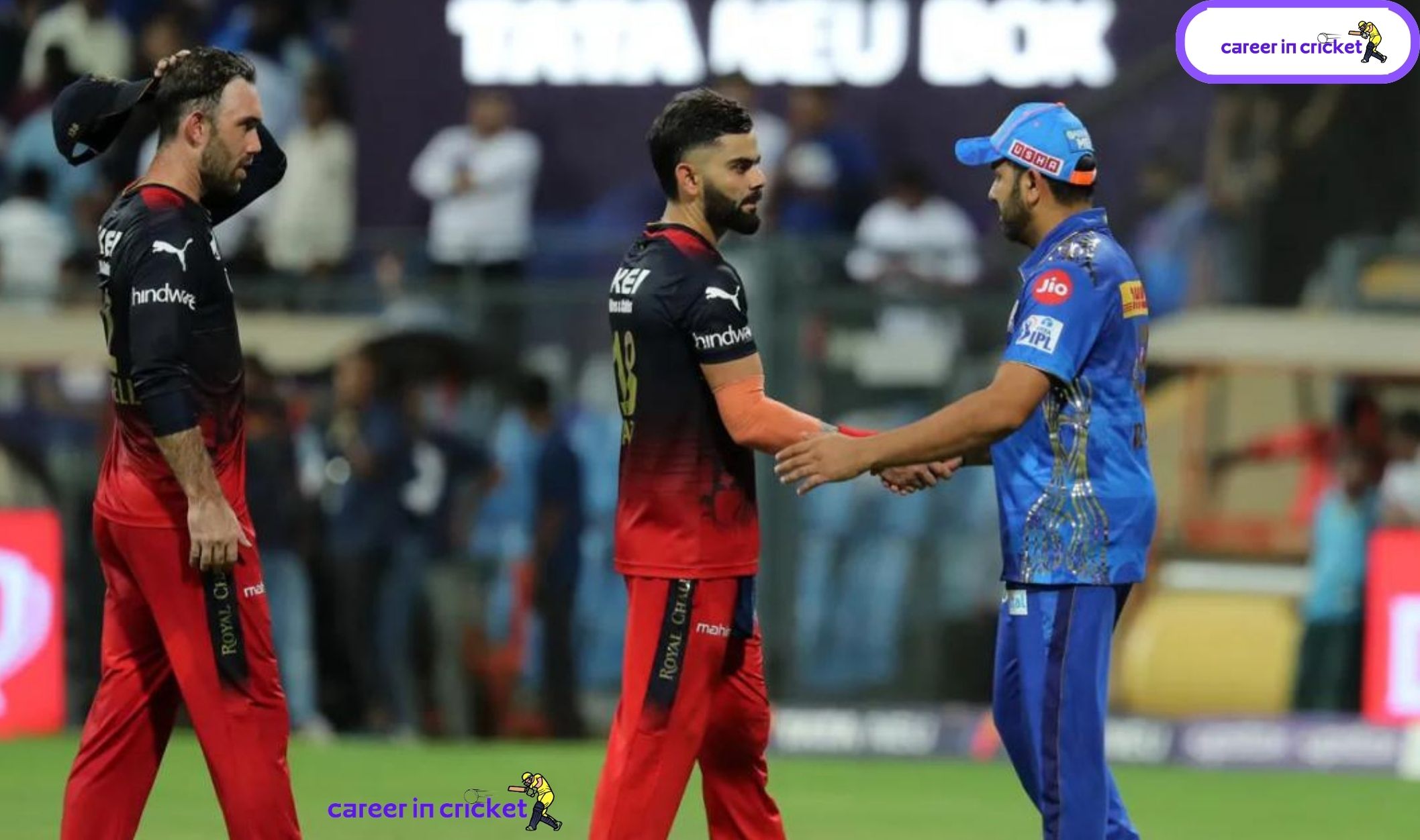 MI vs RCB Head-to-Head in IPL