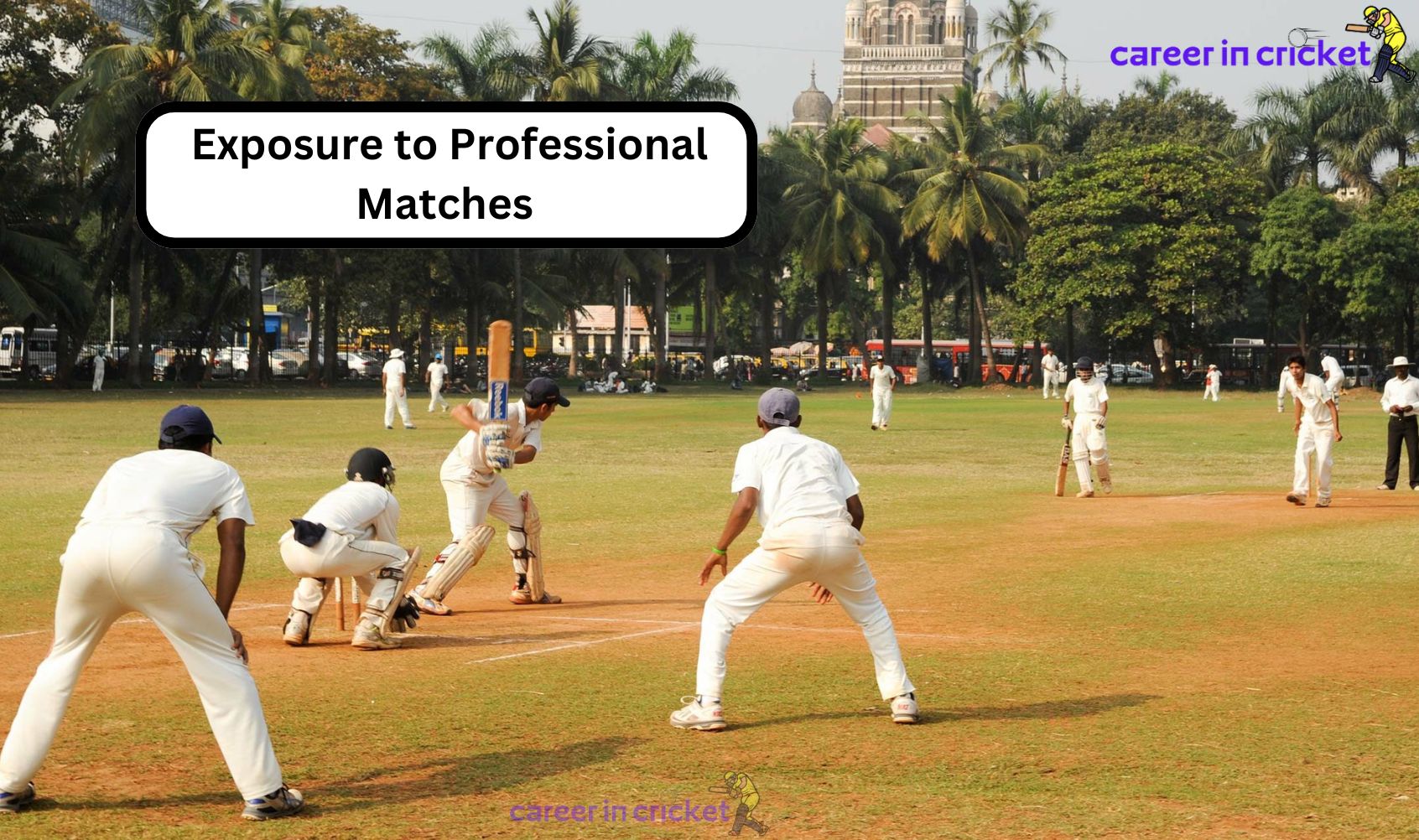 Why You Should Join a Cricket Academy?