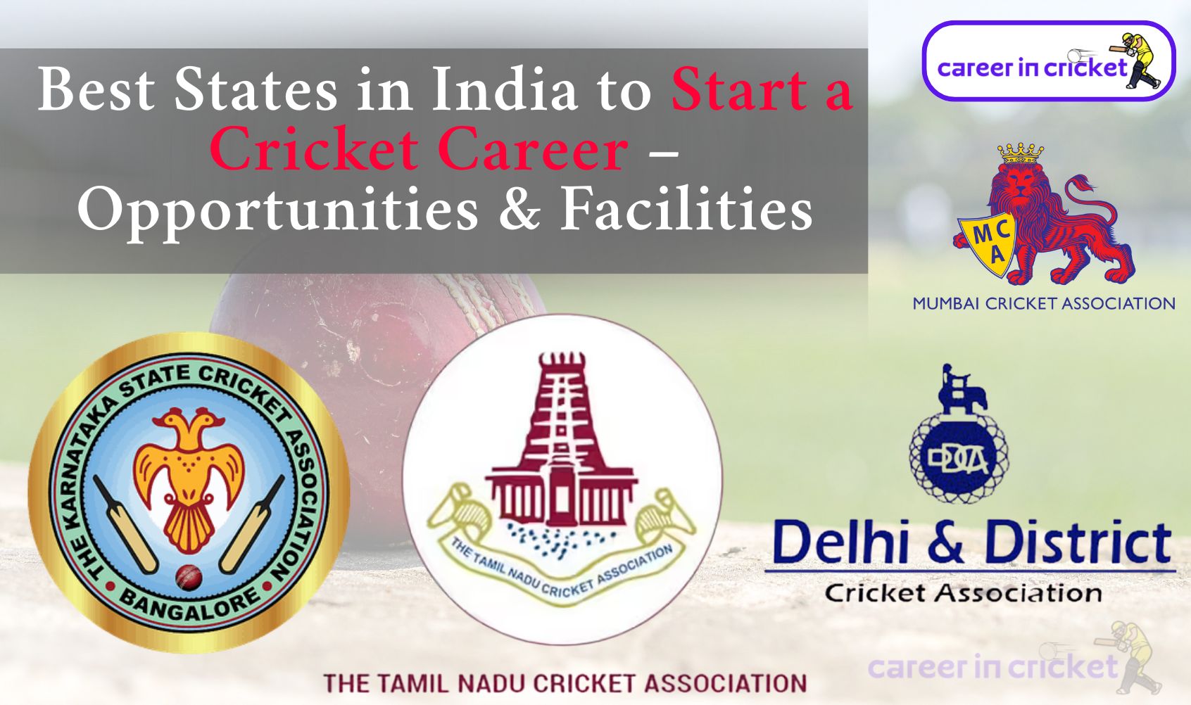 Best States in India to Start a Cricket Career – Opportunities & Facilities