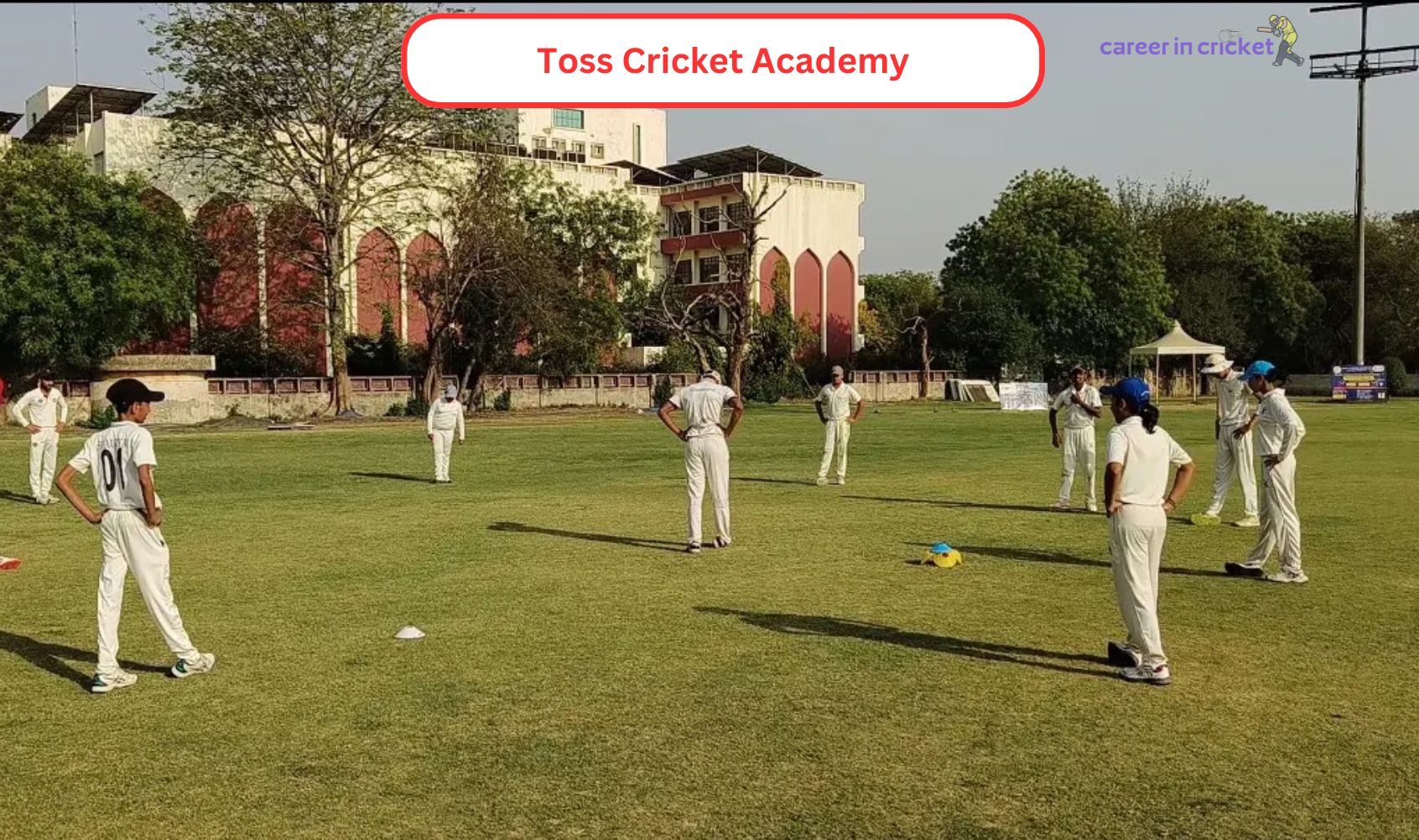Toss Cricket Academy