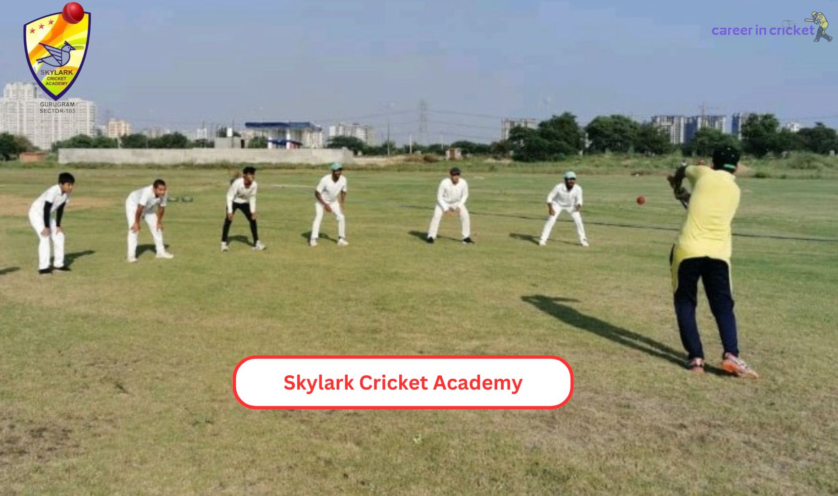 Skylark Cricket Academy