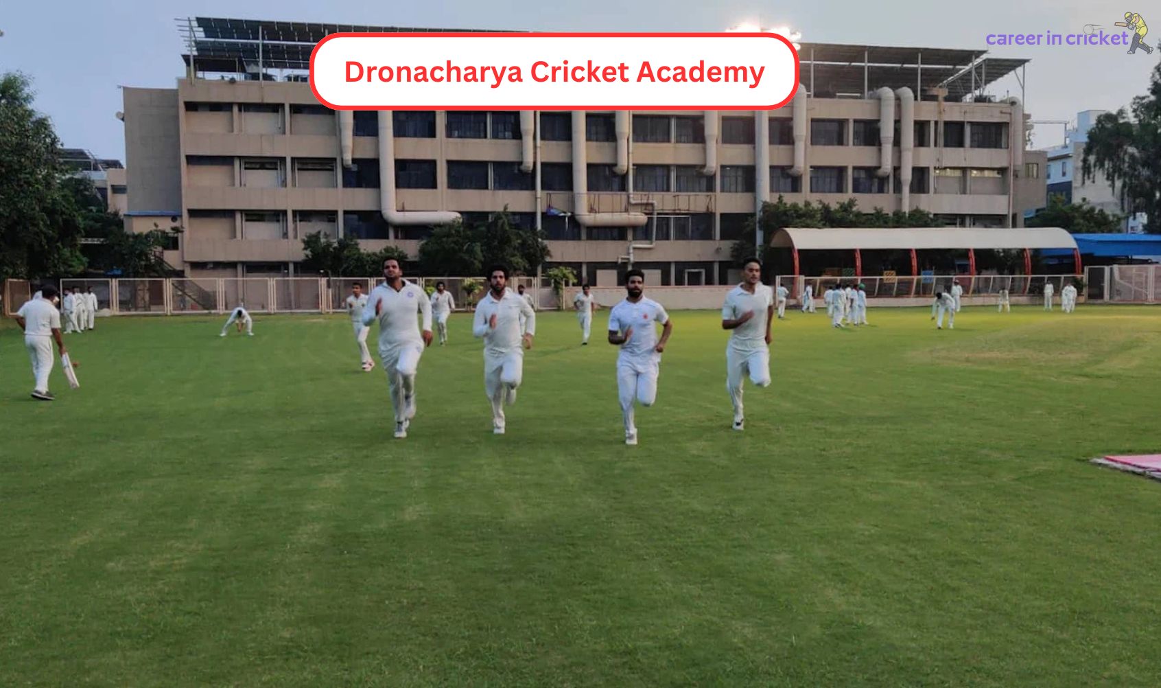 Dronacharya Cricket Academy – Best Cricket Coaching in Delhi
