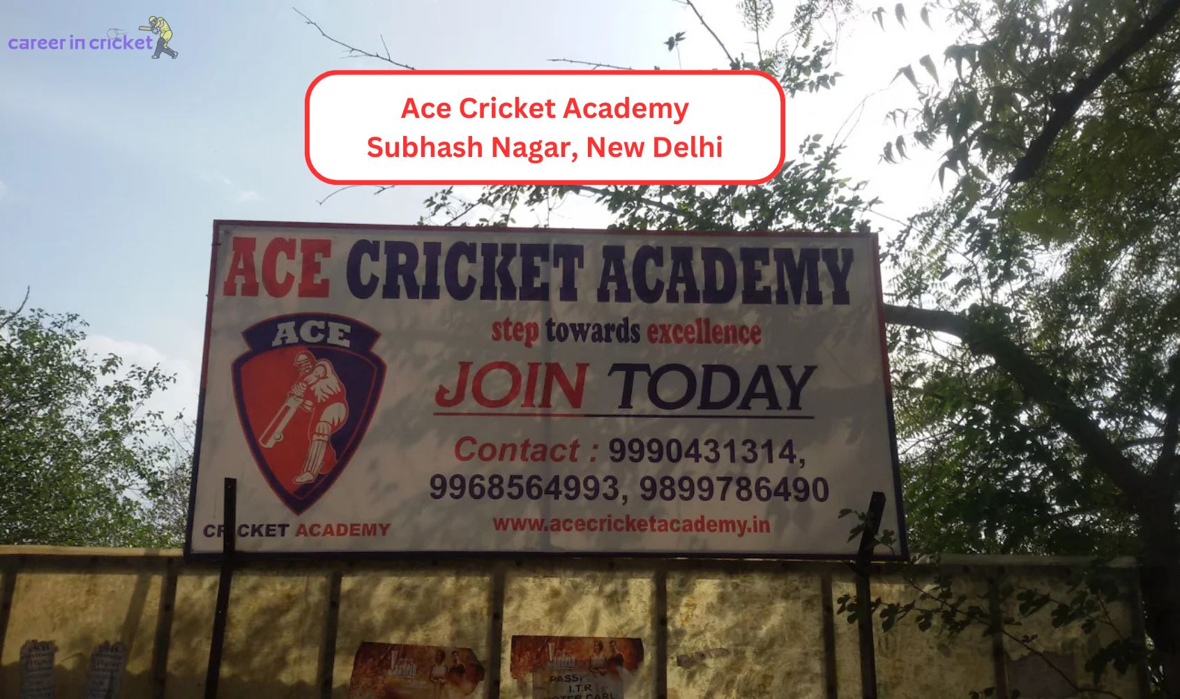 Ace Cricket Academy